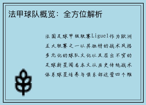法甲球队概览：全方位解析